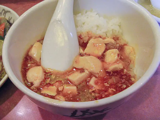 Sichuan Mapo Tofu